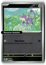 Rattata - 060/088 - [POR - ME03: Perfect Order] - Reverse Holofoil
