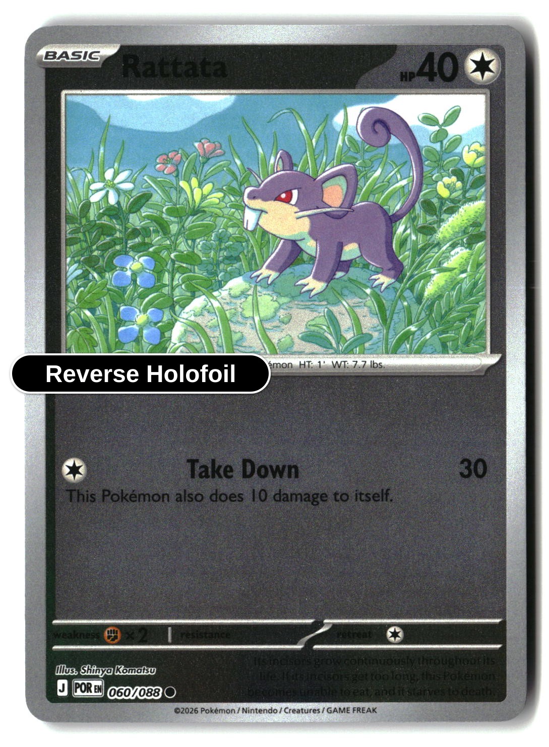 Rattata - 060/088 - [POR - ME03: Perfect Order] - Reverse Holofoil