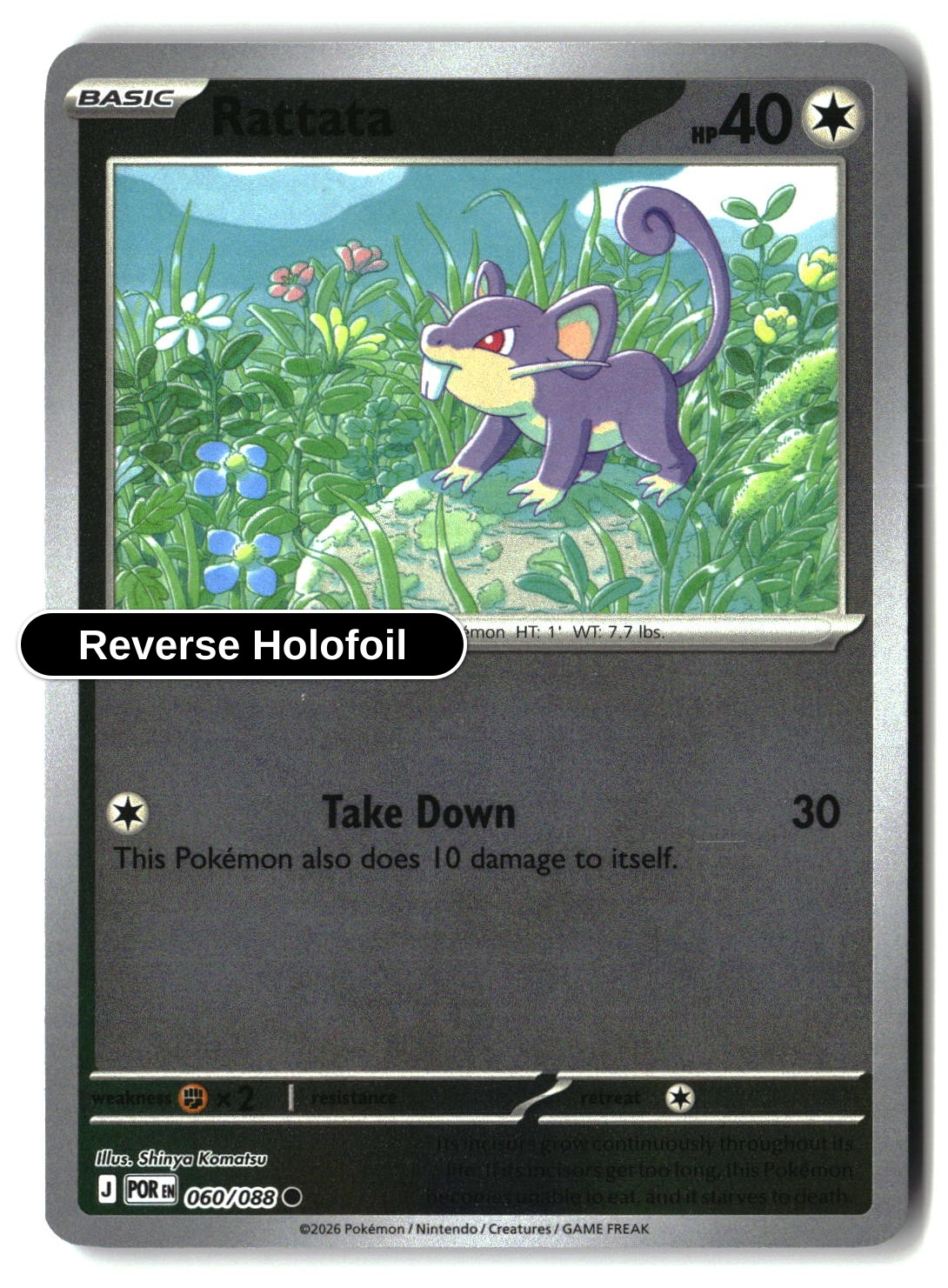 Rattata - 060/088 - [POR - ME03: Perfect Order] - Reverse Holofoil