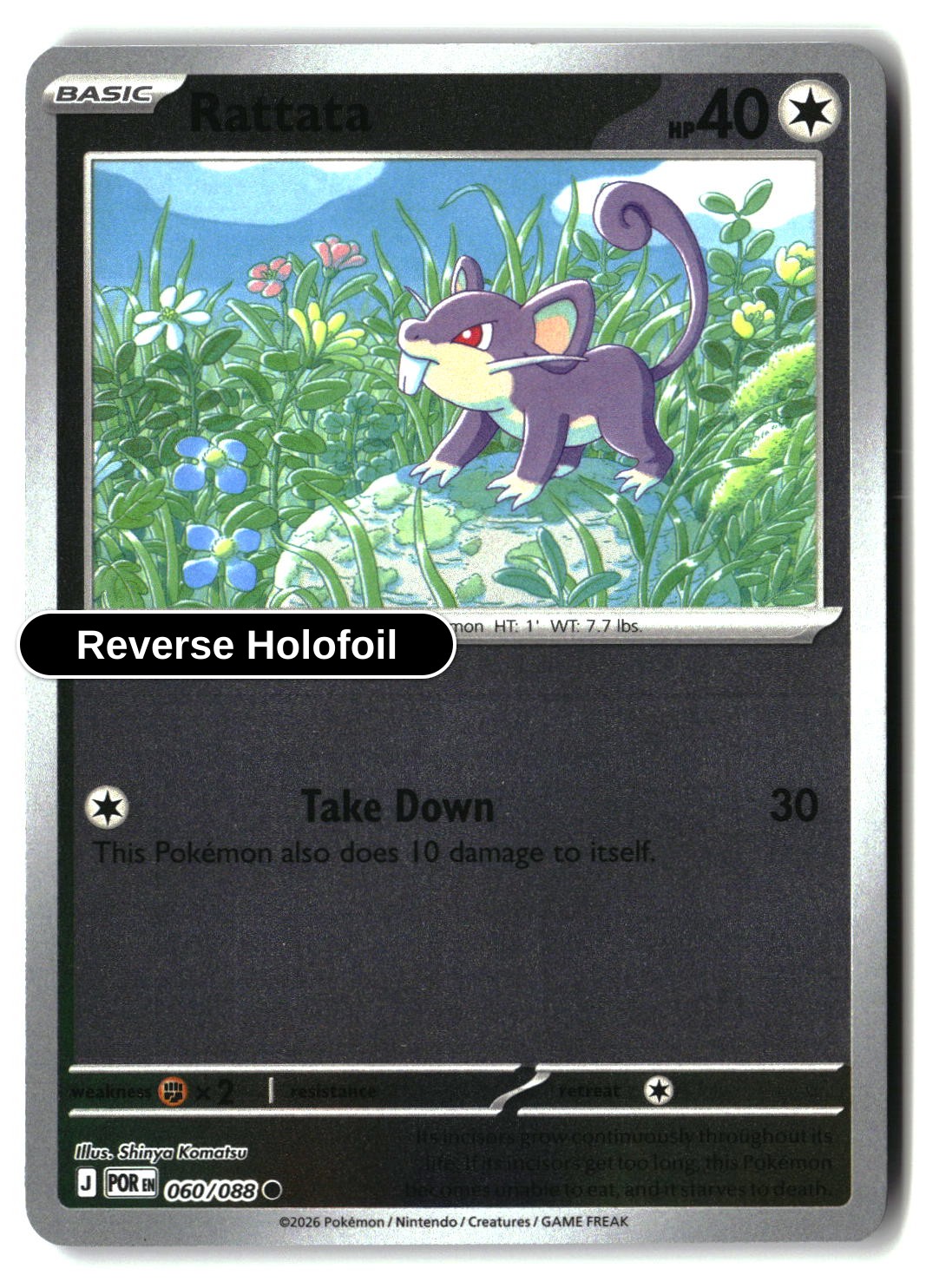 Rattata - 060/088 - [POR - ME03: Perfect Order] - Reverse Holofoil