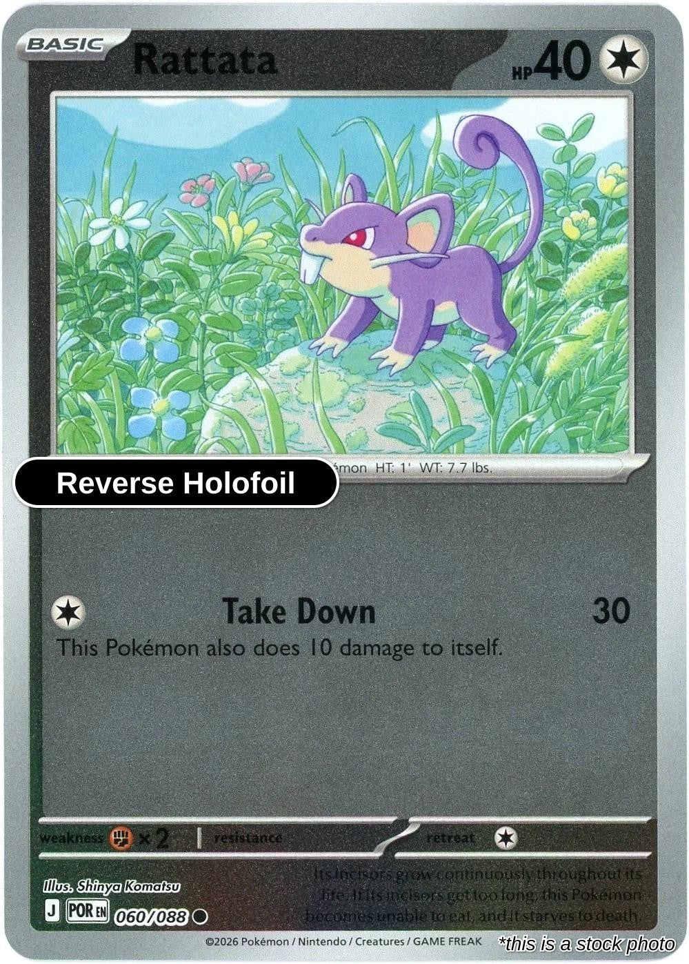 Rattata - 060/088 - [POR - ME03: Perfect Order] - Reverse Holofoil