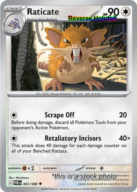 Raticate - 061/088