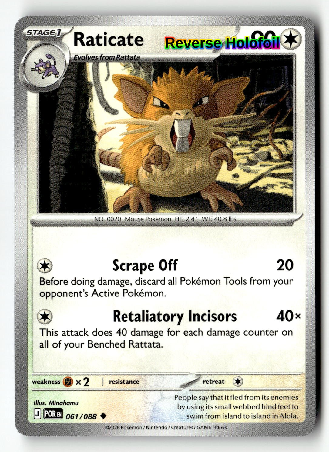 Raticate - 061/088