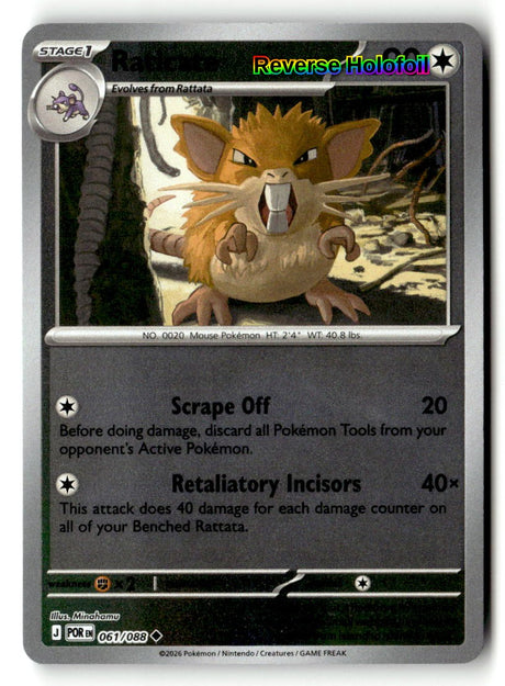 Raticate - 061/088