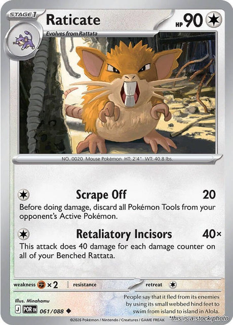 Raticate - 061/088 - [POR - ME03: Perfect Order]