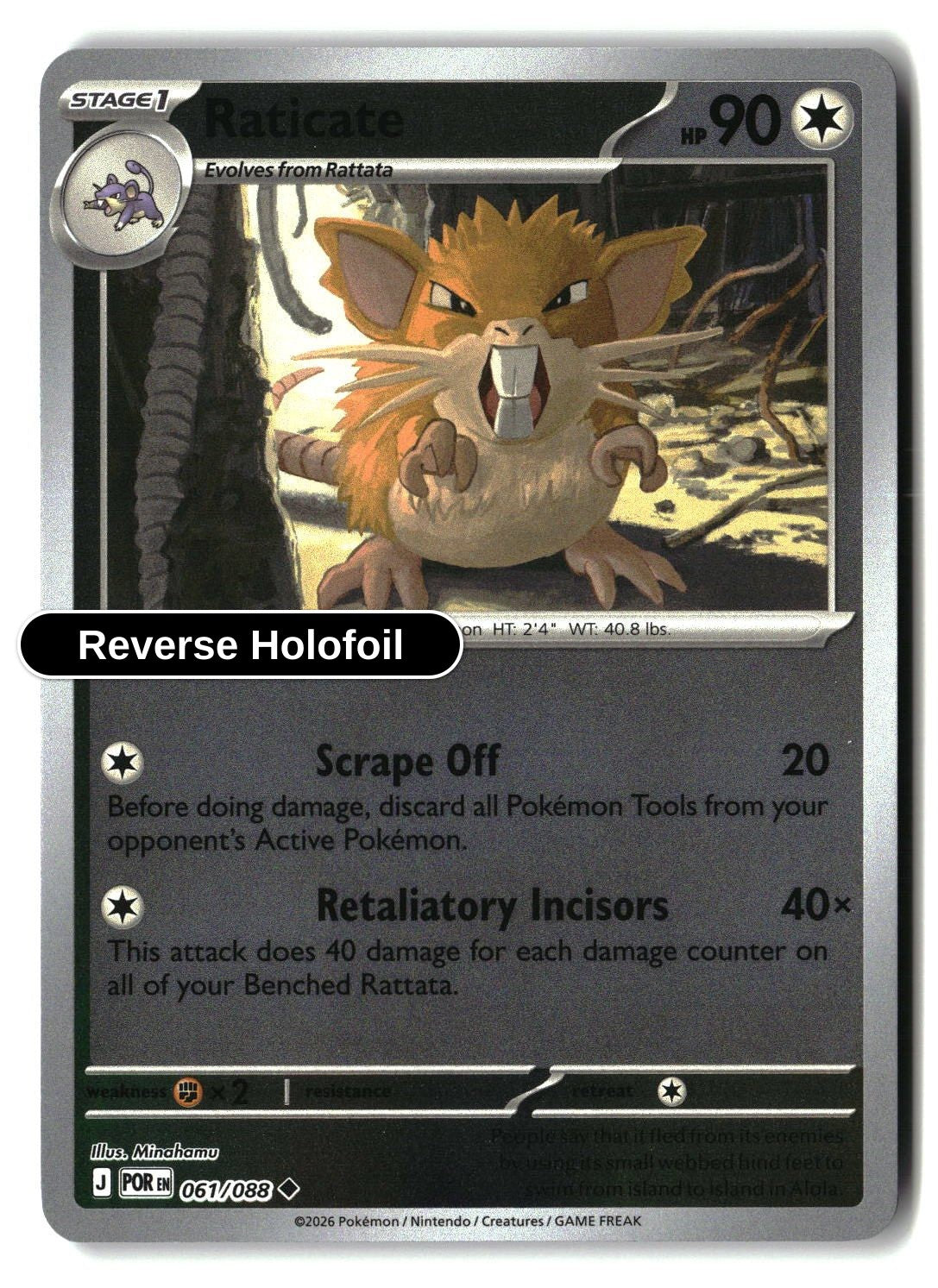 Raticate - 061/088 - [POR - ME03: Perfect Order] - Reverse Holofoil