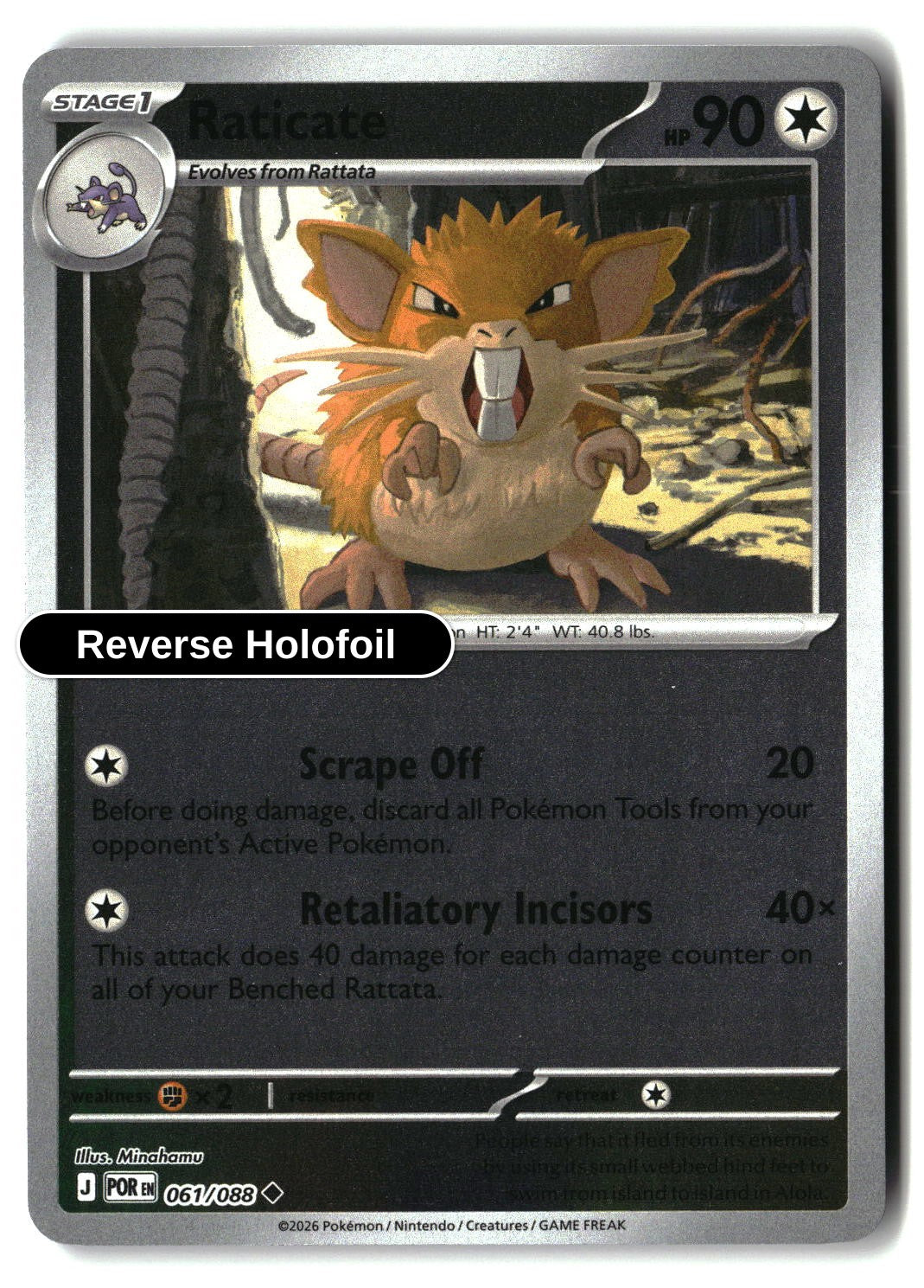 Raticate - 061/088 - [POR - ME03: Perfect Order] - Reverse Holofoil