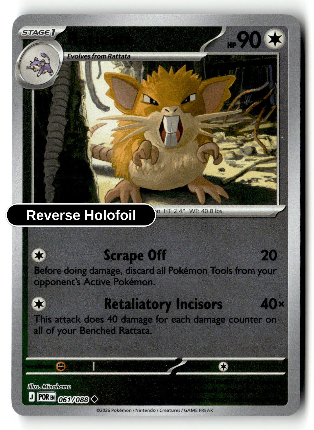 Raticate - 061/088 - [POR - ME03: Perfect Order] - Reverse Holofoil