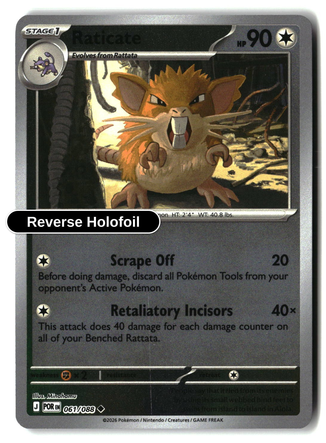 Raticate - 061/088 - [POR - ME03: Perfect Order] - Reverse Holofoil