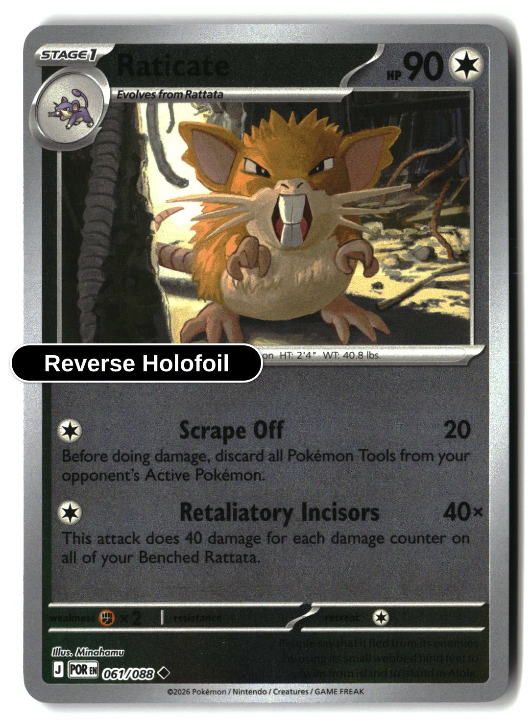 Raticate - 061/088 - [POR - ME03: Perfect Order] - Reverse Holofoil