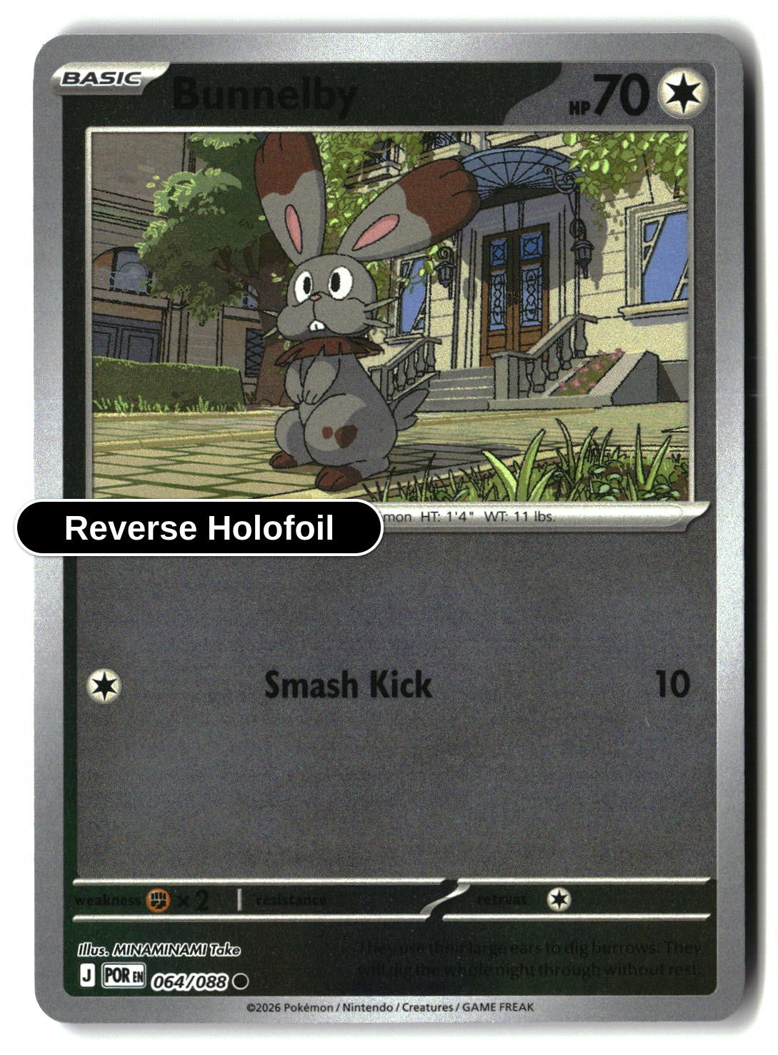 Bunnelby - 064/088 - [POR - ME03: Perfect Order] - Reverse Holofoil