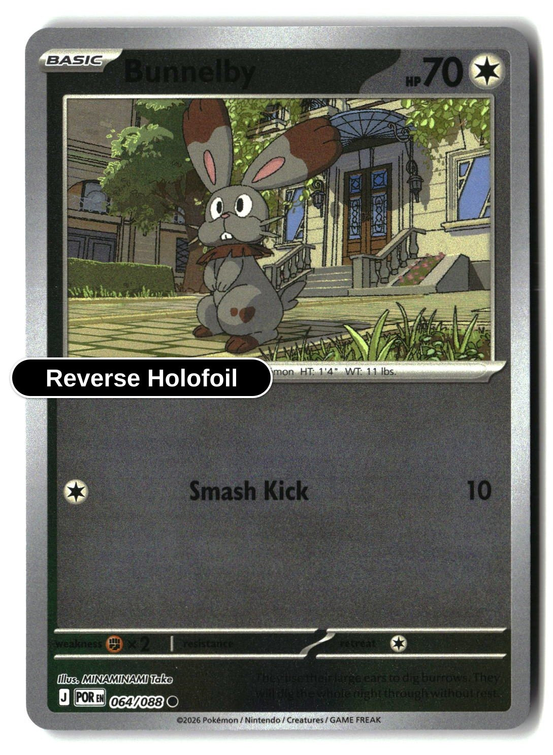 Bunnelby - 064/088 - [POR - ME03: Perfect Order] - Reverse Holofoil