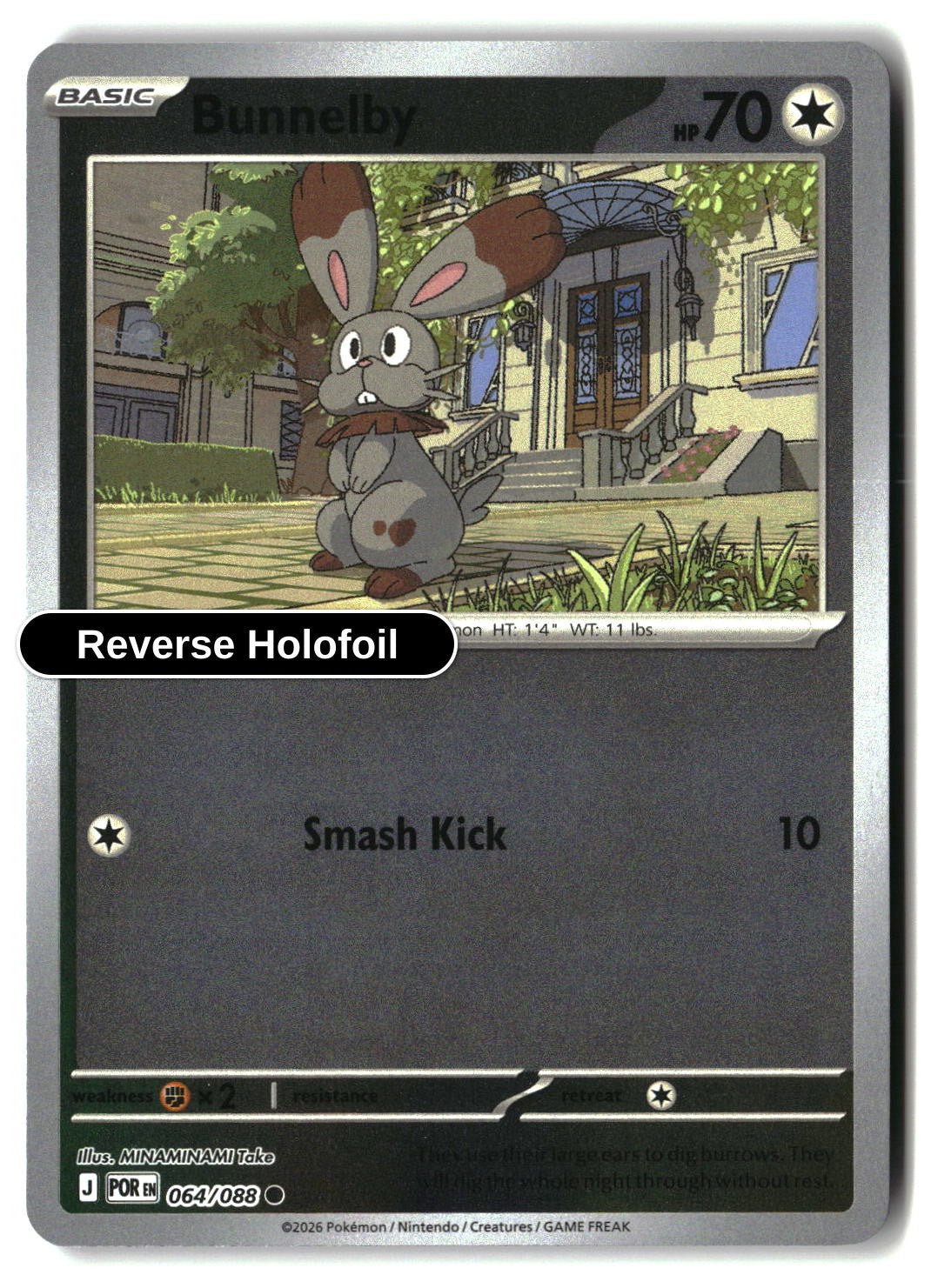 Bunnelby - 064/088 - [POR - ME03: Perfect Order] - Reverse Holofoil