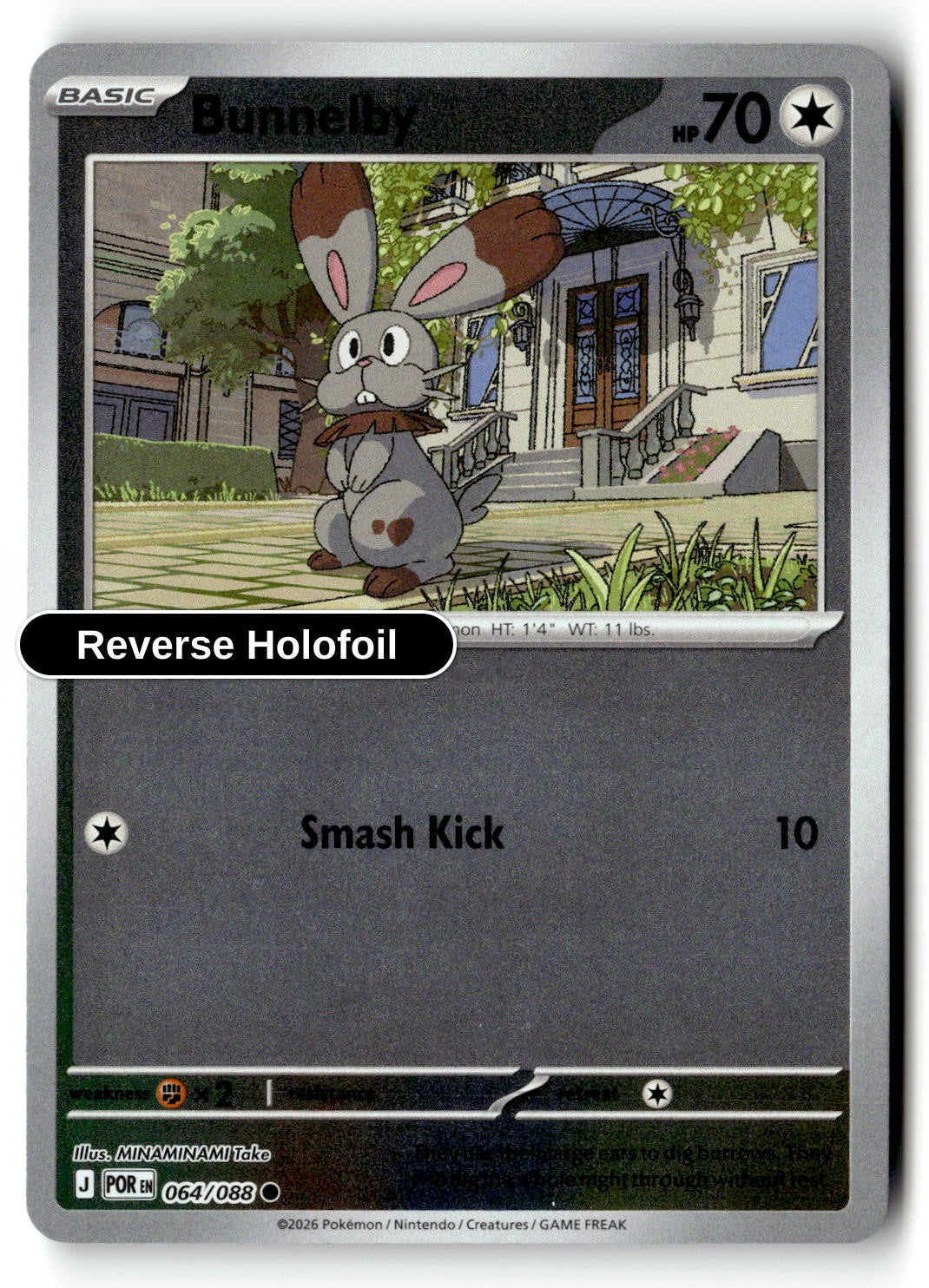 Bunnelby - 064/088 - [POR - ME03: Perfect Order] - Reverse Holofoil