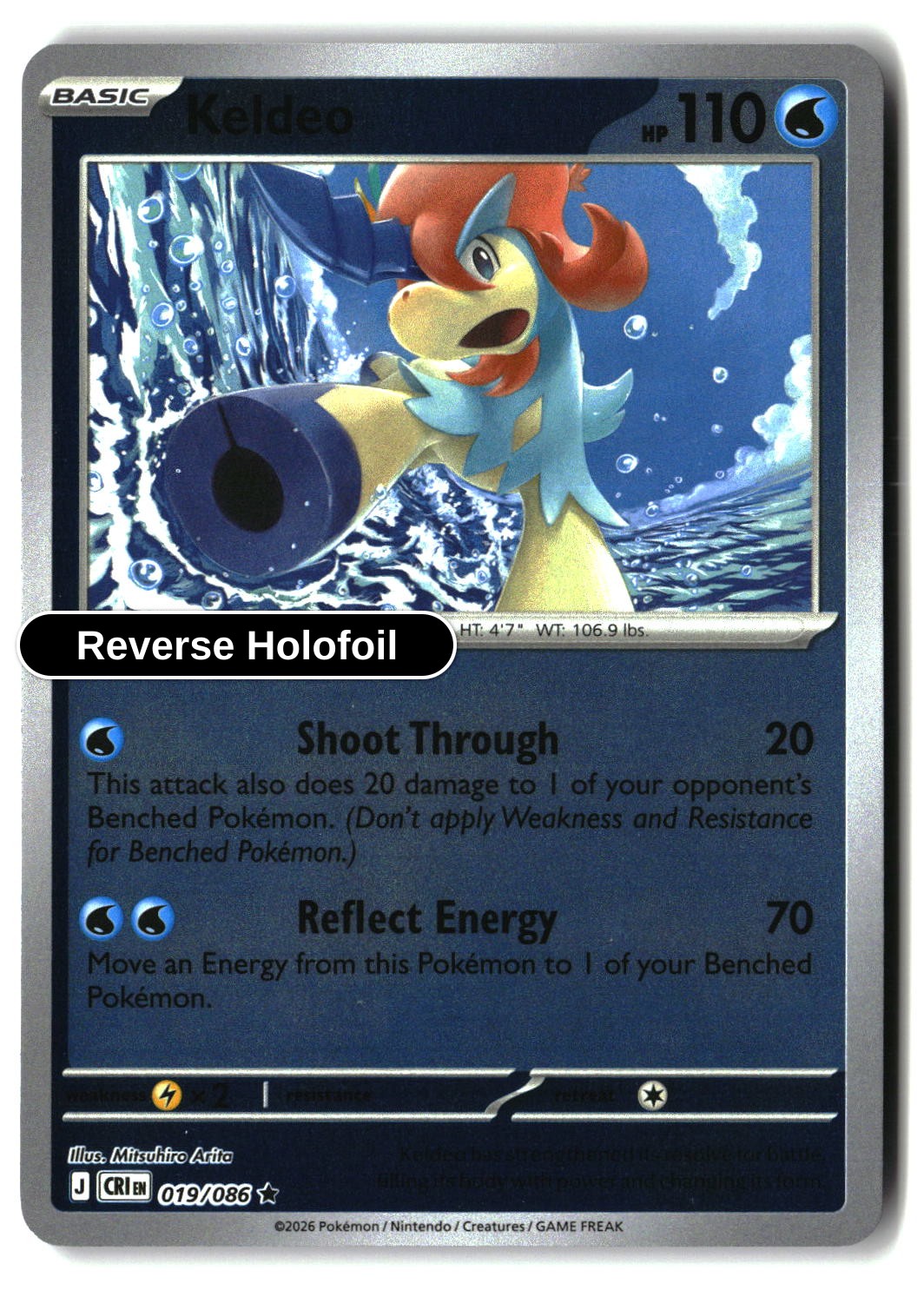 Keldeo - 019/086 - [CRI - ME04: Chaos Rising] - Reverse Holofoil
