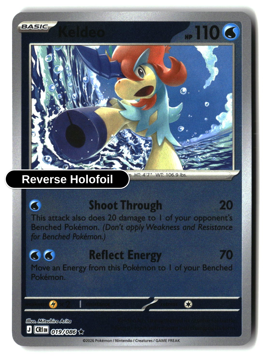 Keldeo - 019/086 - [CRI - ME04: Chaos Rising] - Reverse Holofoil