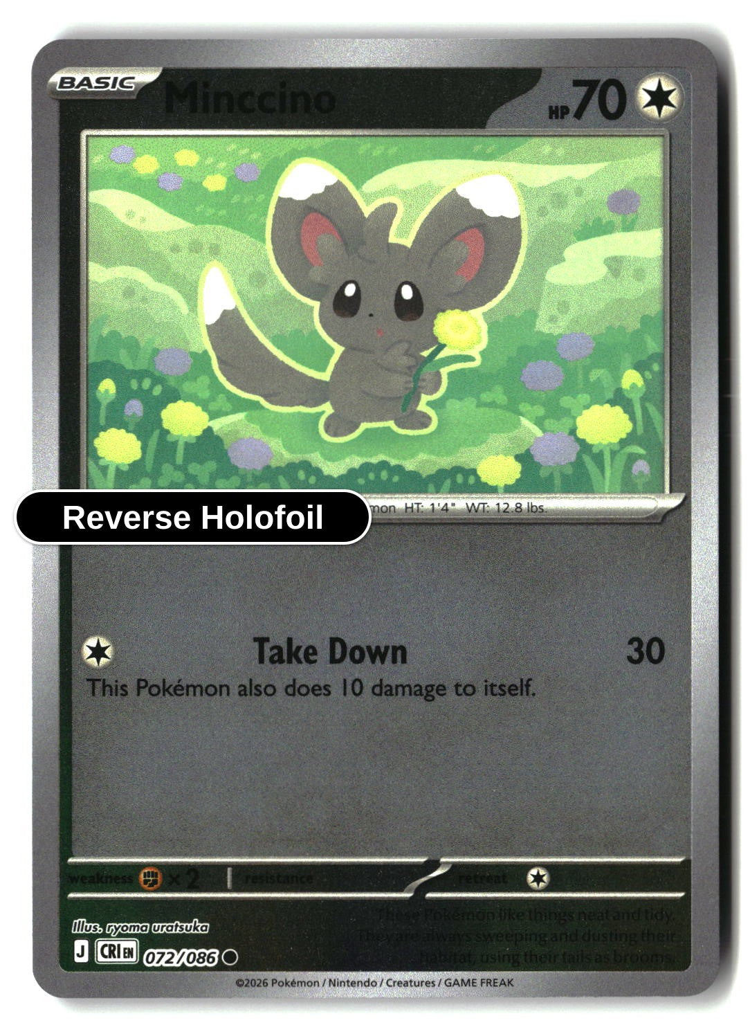 Minccino - 072/086 - [CRI - ME04: Chaos Rising] - Reverse Holofoil