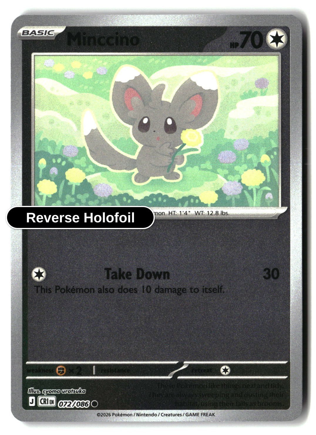 Minccino - 072/086 - [CRI - ME04: Chaos Rising] - Reverse Holofoil