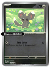 Minccino - 072/086 - [CRI - ME04: Chaos Rising] - Reverse Holofoil
