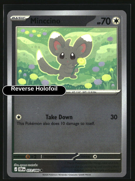 Minccino