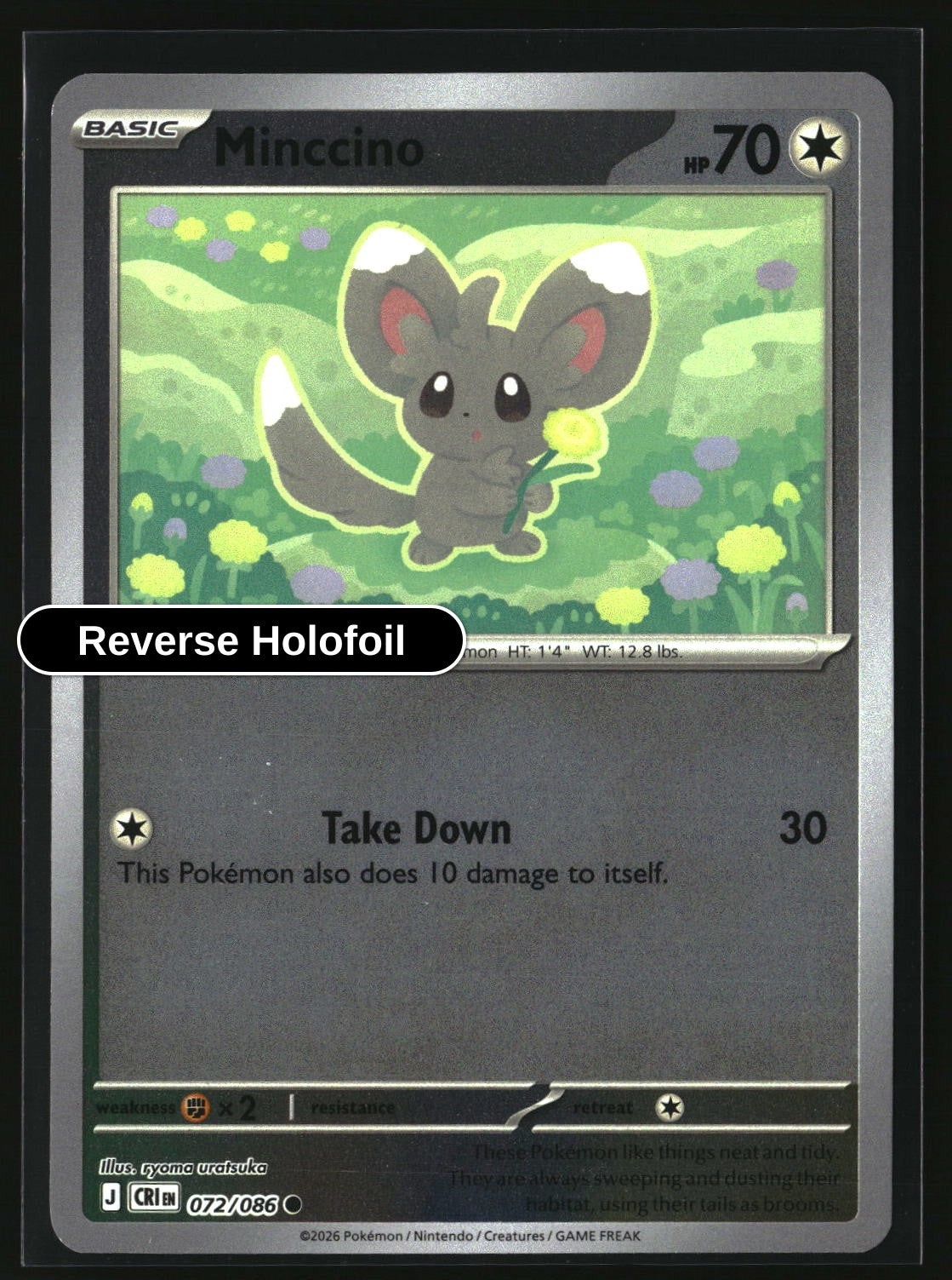 Minccino - 072/086 - [CRI - ME04: Chaos Rising] - Reverse Holofoil