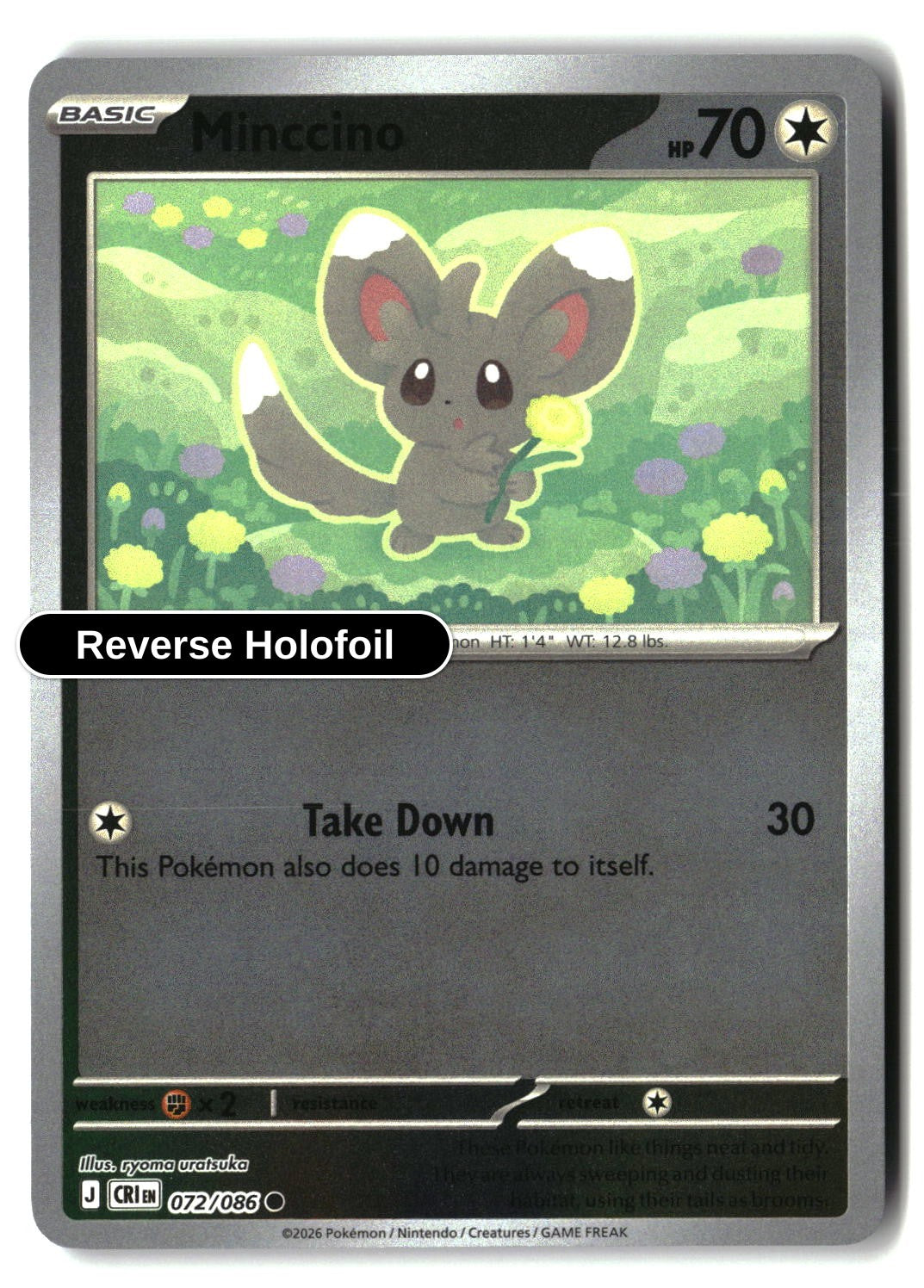 Minccino - 072/086 - [CRI - ME04: Chaos Rising] - Reverse Holofoil