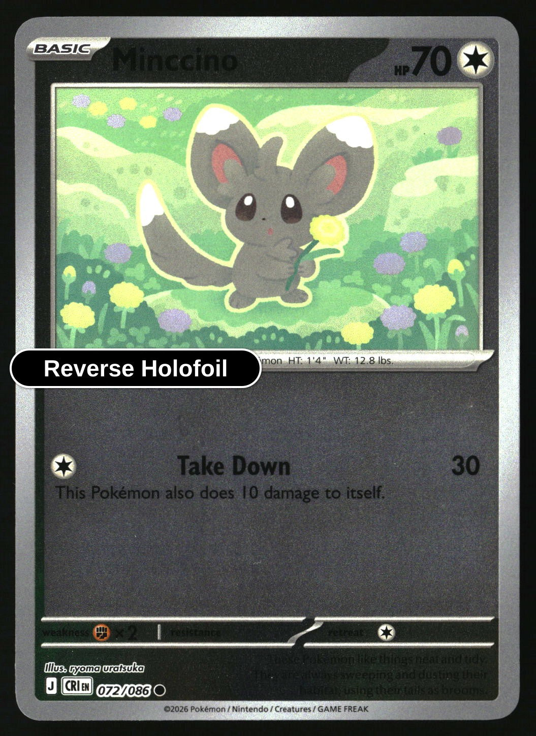 Minccino - 072/086 - [CRI - ME04: Chaos Rising] - Reverse Holofoil