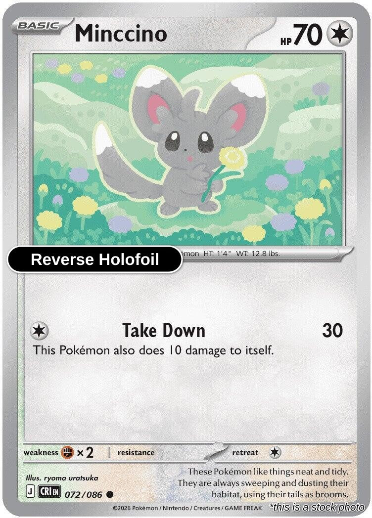 Minccino - 072/086 - [CRI - ME04: Chaos Rising] - Reverse Holofoil