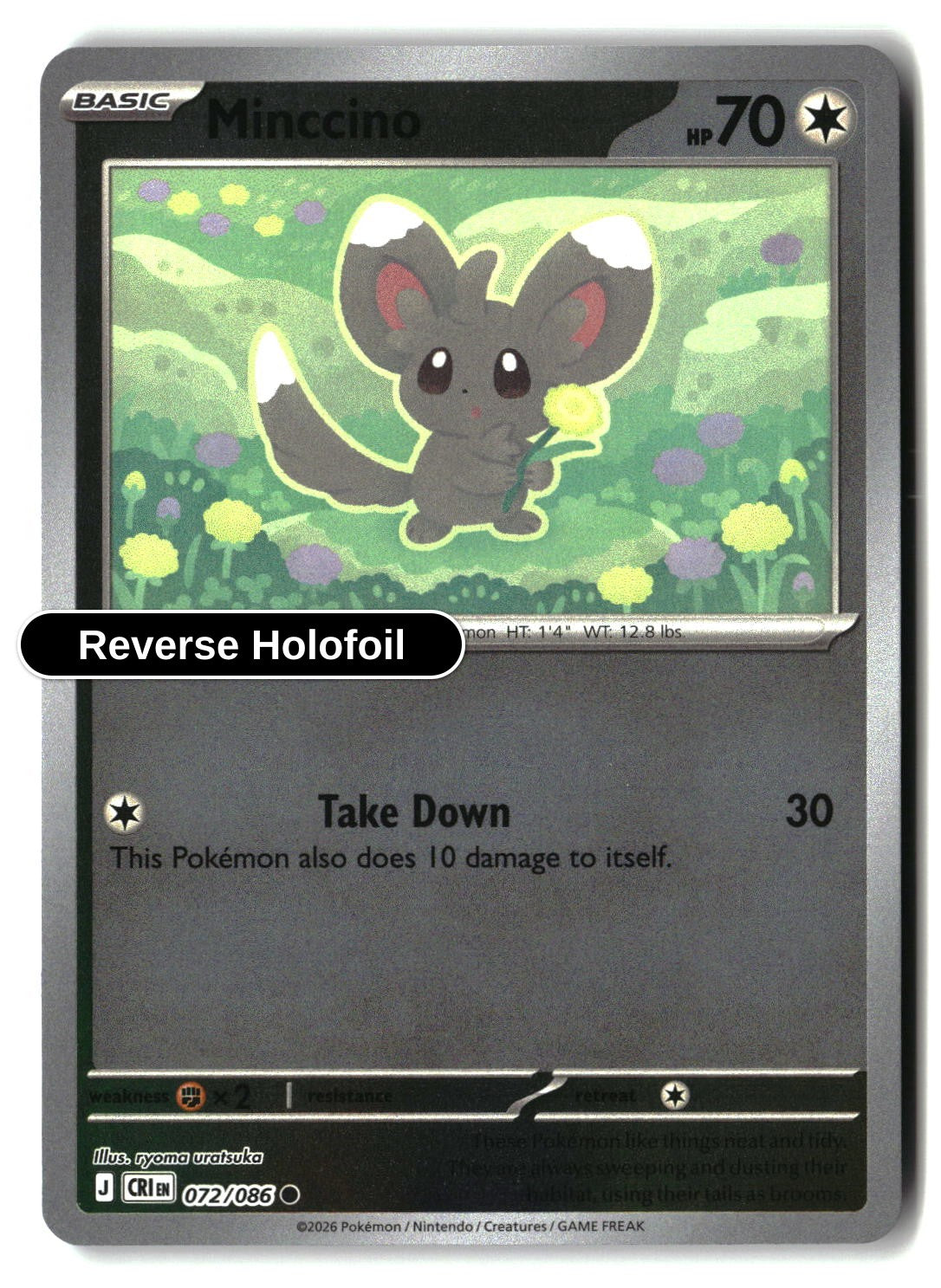 Minccino - 072/086 - [CRI - ME04: Chaos Rising] - Reverse Holofoil