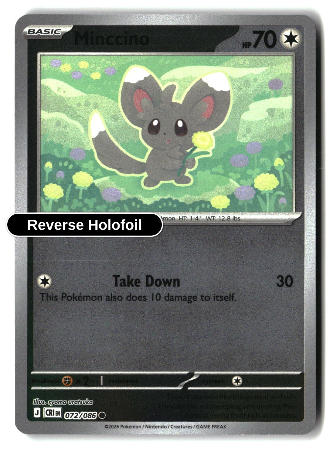 Minccino - 072/086 - [CRI - ME04: Chaos Rising] - Reverse Holofoil
