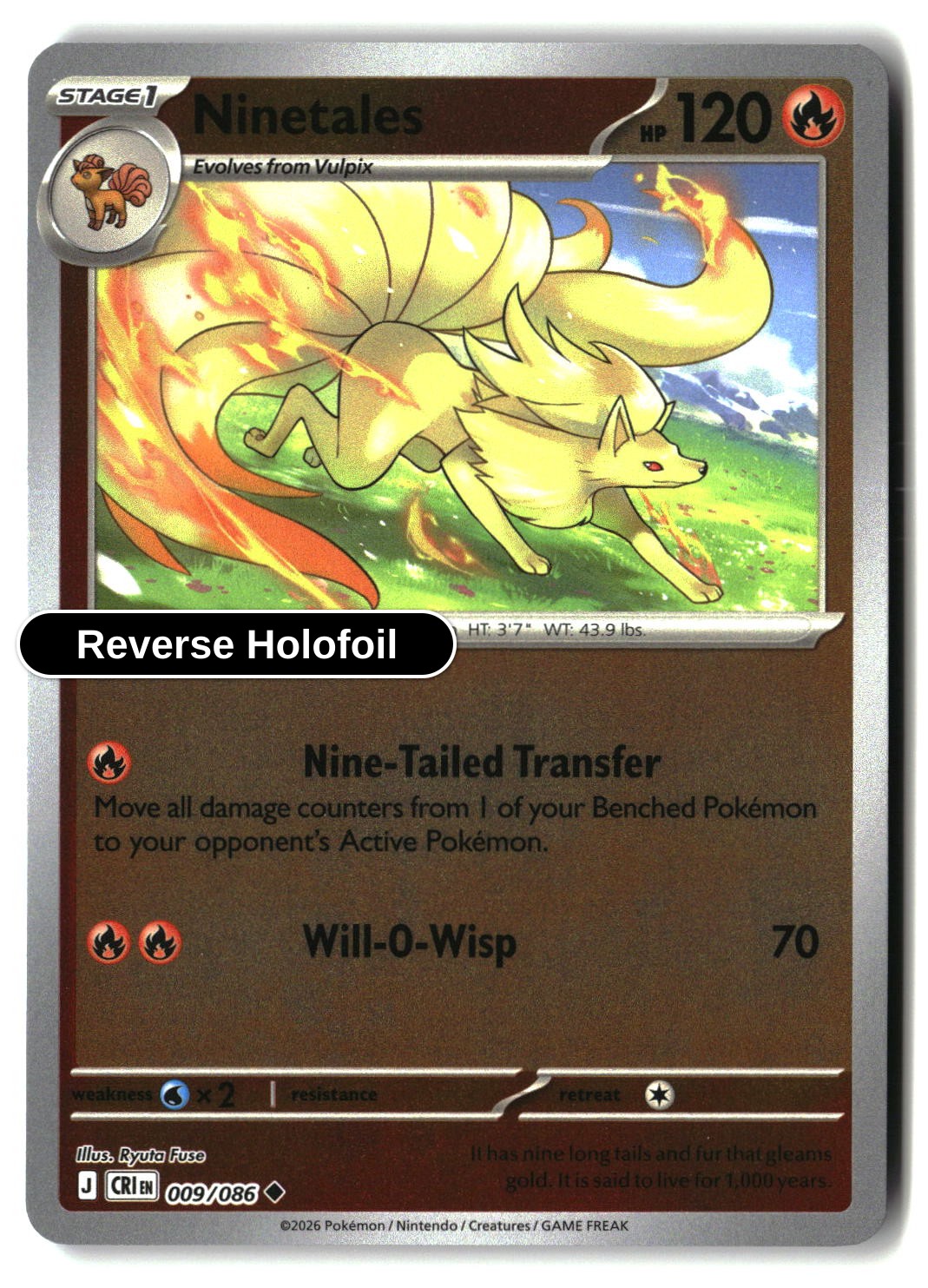 Ninetales - 009/086 - [CRI - ME04: Chaos Rising] - Reverse Holofoil