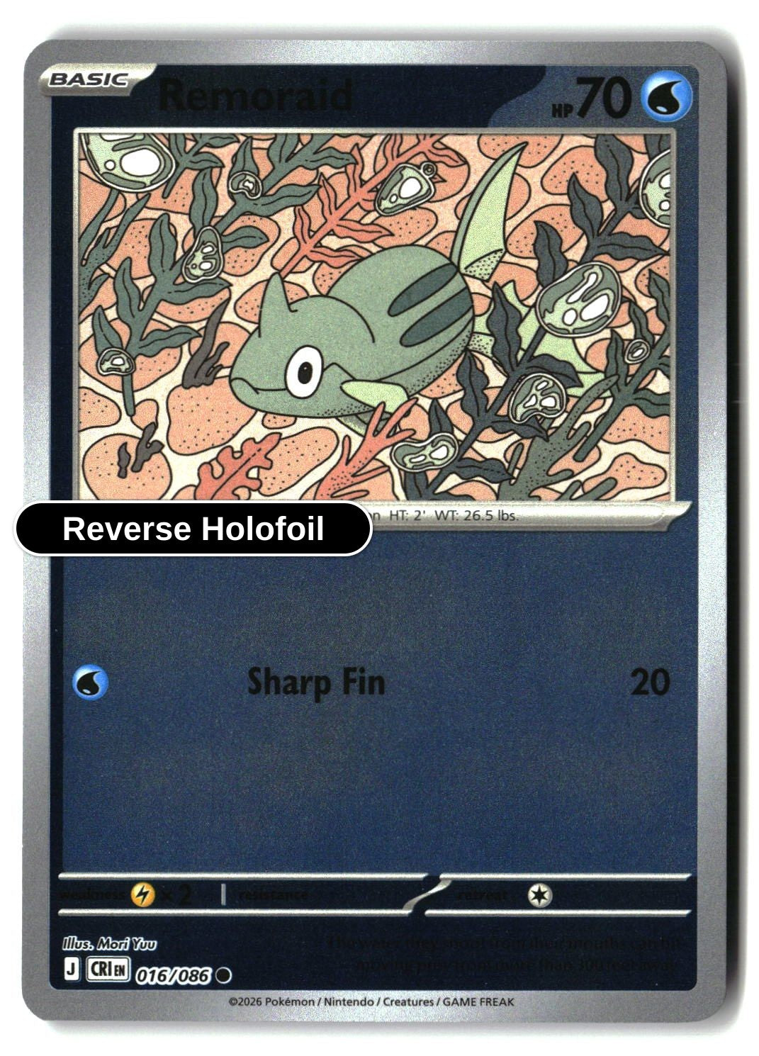 Remoraid - 016/086 - [CRI - ME04: Chaos Rising] - Reverse Holofoil