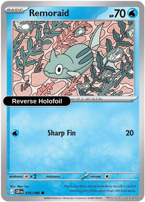 Remoraid - 016/086 - [CRI - ME04: Chaos Rising] - Reverse Holofoil