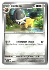 Shieldon