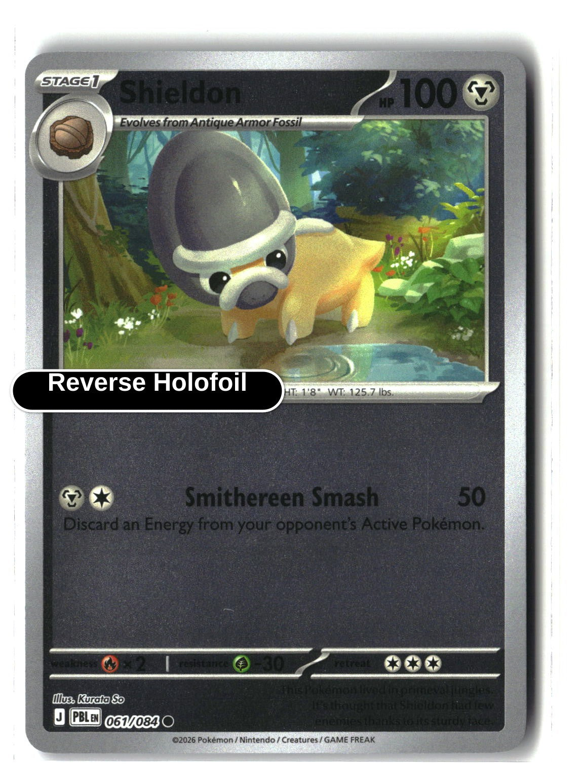 Shieldon