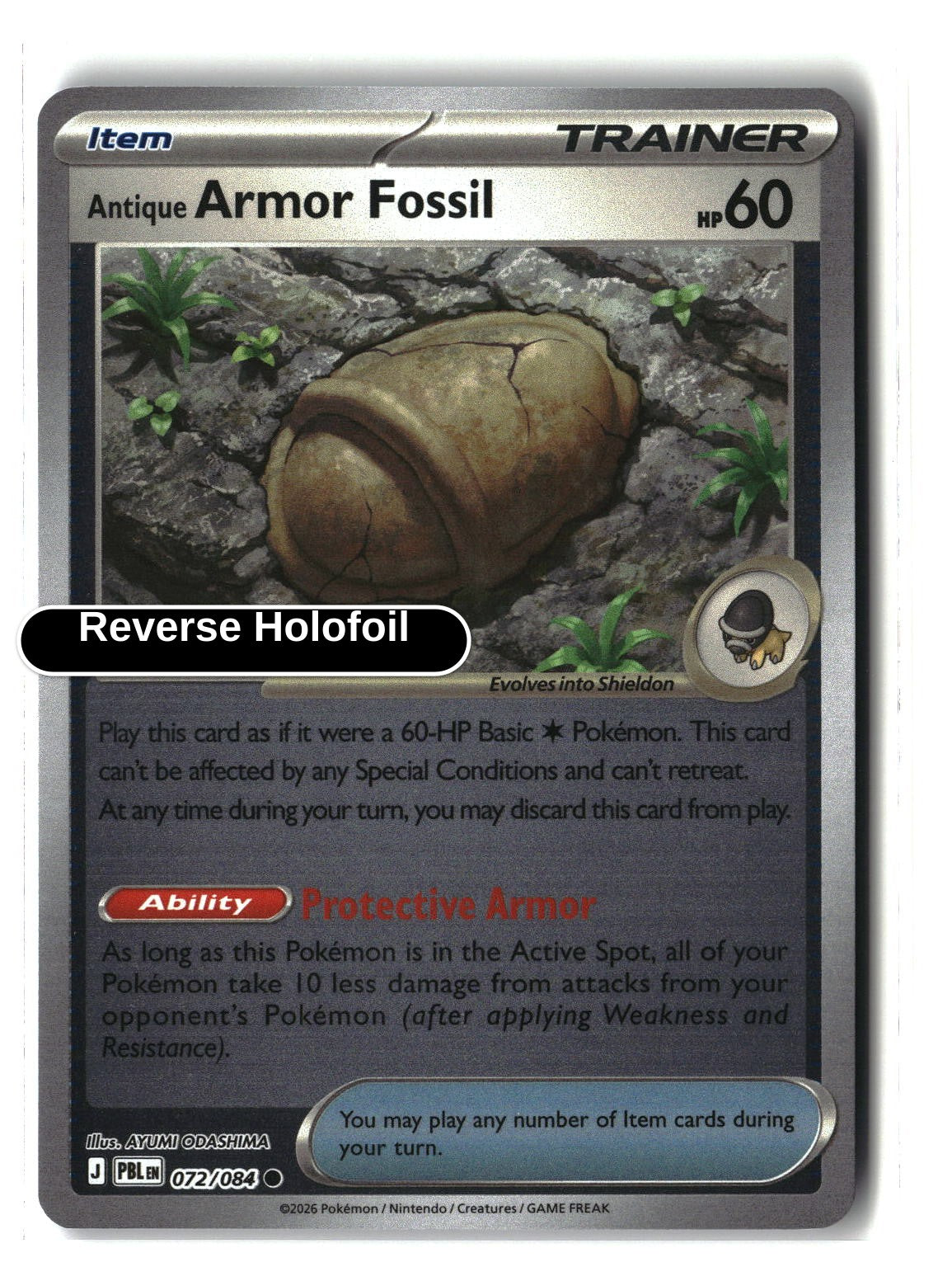 Antique Armor Fossil