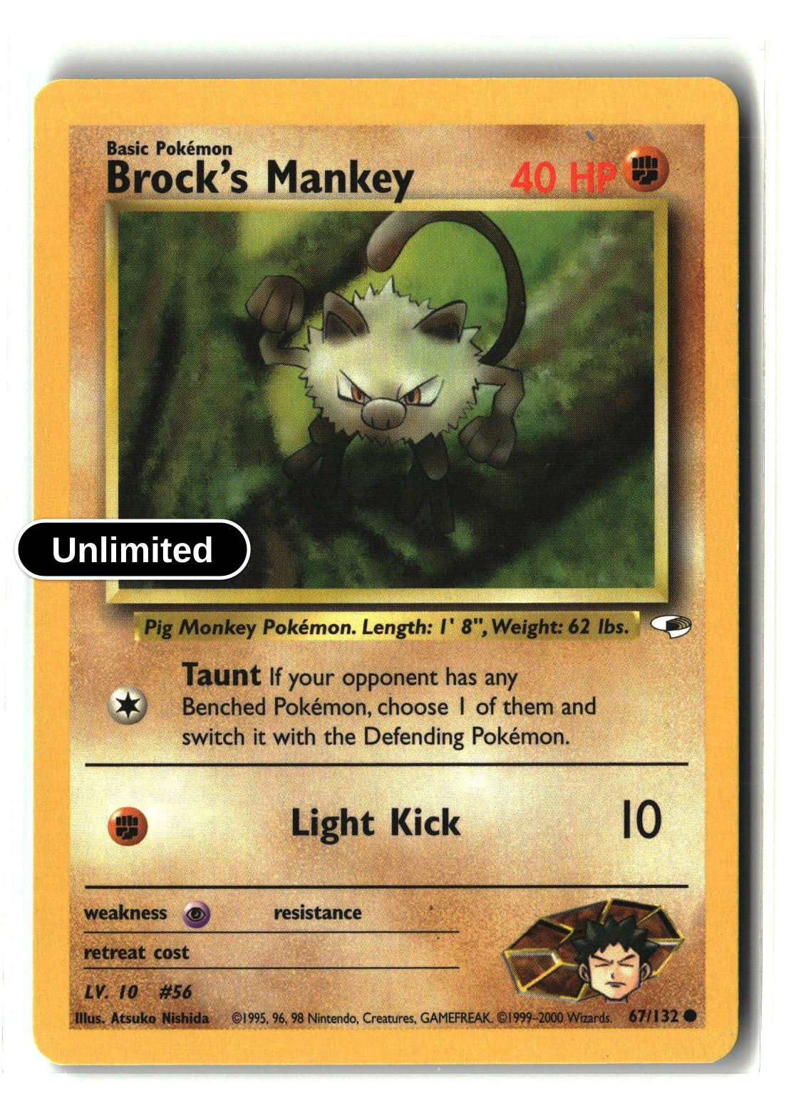 Brock's Mankey (67)