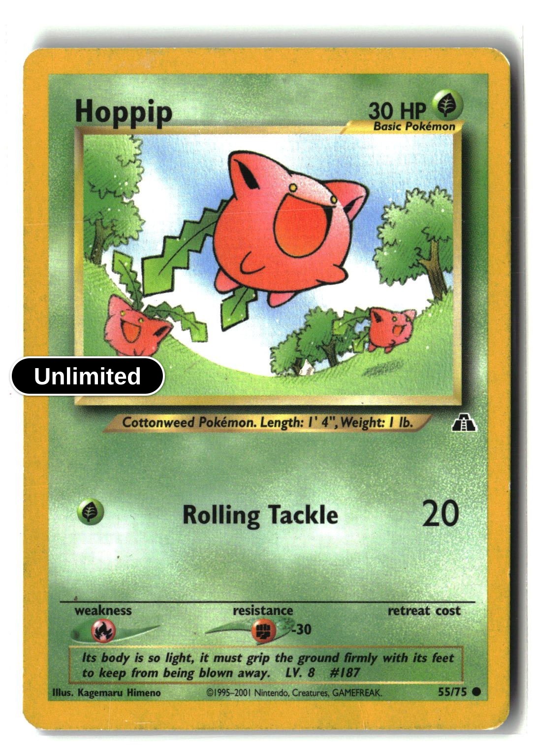 Hoppip