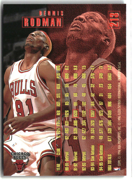 Dennis Rodman 1995-96 Fleer #213