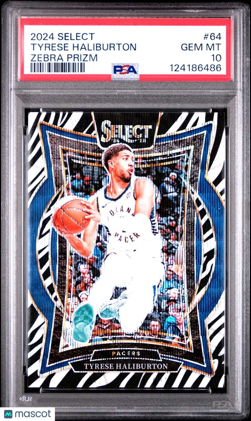 Tyrese Haliburton 2024 Panini Select Zebra Prizm #64 PSA 10