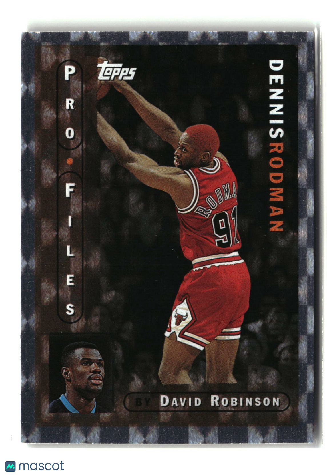 Dennis Rodman 1996-97 Topps ProFiles #PF-14