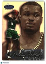 Antoine Walker 1998-99 Flair Showcase #8