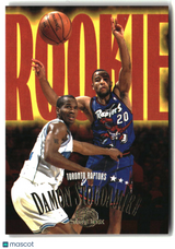 Damon Stoudamire 1995-96 SkyBox Premium #244