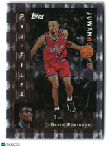 Juwan Howard 1996-97 Topps ProFiles #PF-12