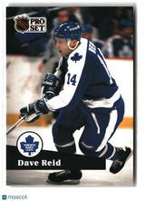 Dave Reid 1991-92 Pro Set French #229