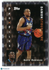 Damon Stoudamire 1996-97 Topps ProFiles #PF-10