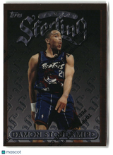 Damon Stoudamire 1996-97 Finest #38