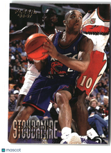 Damon Stoudamire 1996-97 Fleer #107