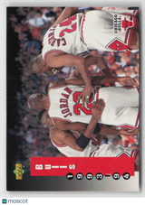 Chicago Bulls 1993-94 Upper Deck #213