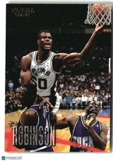 David Robinson 1996-97 Fleer #100